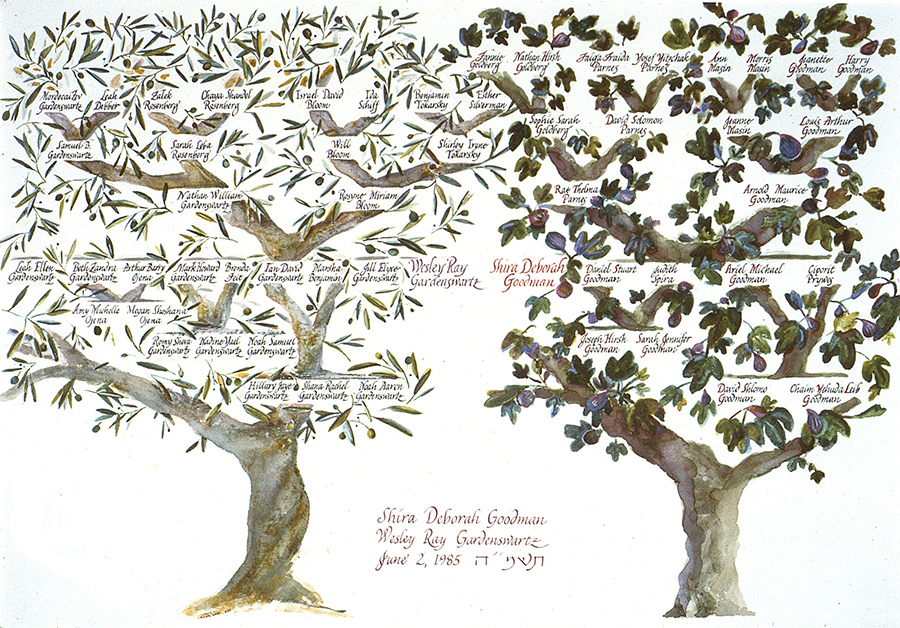 family-tree-fig-olive